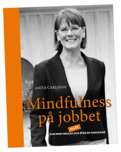 Mindfulness på Jobbet Bok Advokat Anita Carlsson